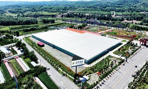 黃土地綻放美麗經(jīng)濟 臨夏百益現(xiàn)代農業(yè)科技有限責任公司技術開發(fā)側記